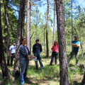 Engaging with Nature: Community Efforts in Nature Preservation in Central Oregon