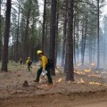 The Impact of Wildfires on Central Oregon's Natural Landscape and Preservation Efforts