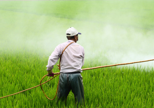 The Impact of Pesticides and Herbicides on Nature Preservation in Central Oregon