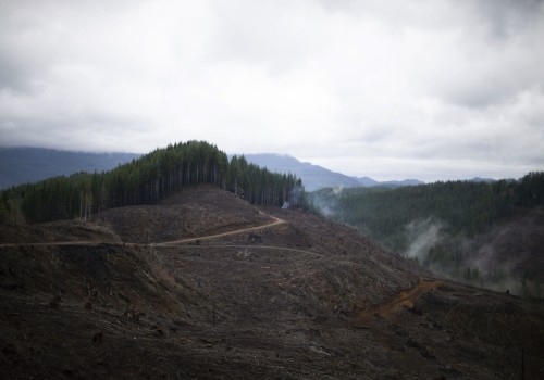 The Impact of the Logging Industry on Nature Preservation in Central Oregon