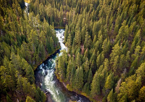 Understanding Nature Preservation Laws and Regulations in Central Oregon