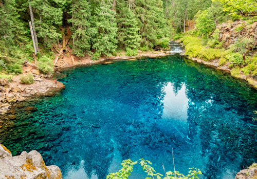 Effective Ways to Preserve Nature in Central Oregon