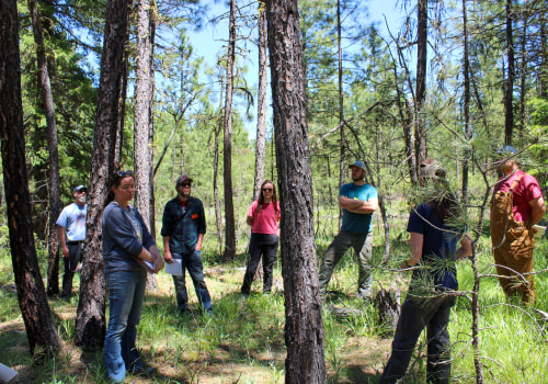 Engaging with Nature: Community Efforts in Nature Preservation in Central Oregon