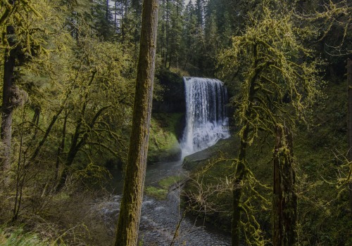 The Vital Role of National Parks and Forests in Nature Preservation in Central Oregon