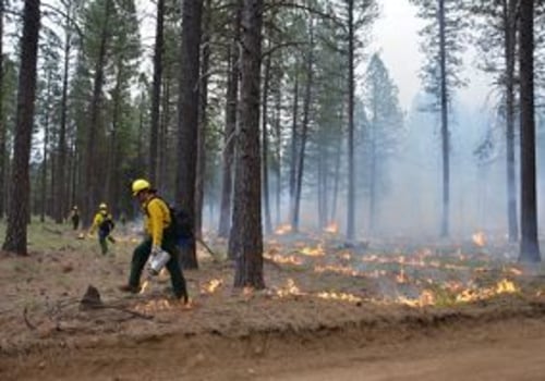 The Impact of Wildfires on Central Oregon's Natural Landscape and Preservation Efforts