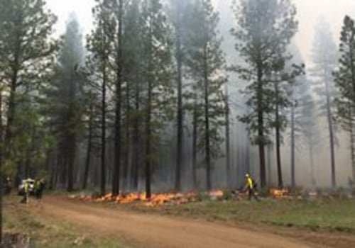 The Impact of Climate Change on Nature Preservation Efforts in Central Oregon